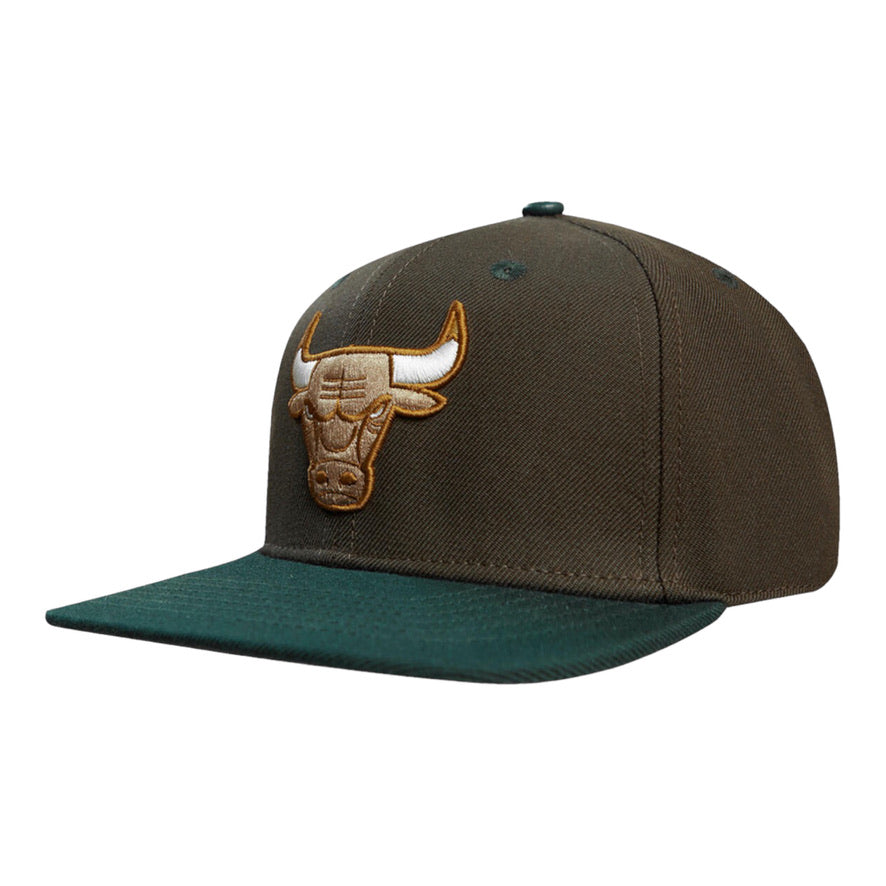 PRO STANDARD: Bulls Stivali 2 Tone Snapback