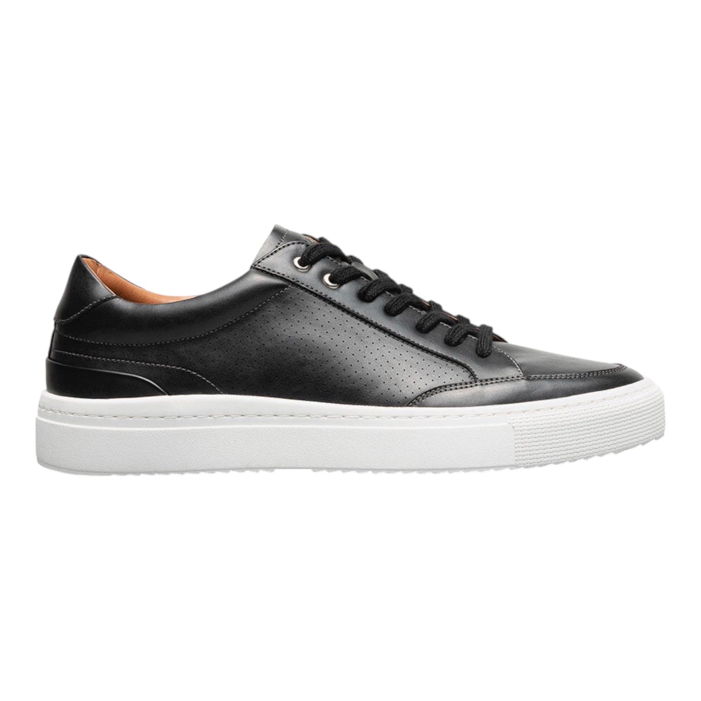 STACY ADAMS: Dorian Lace Up 25749