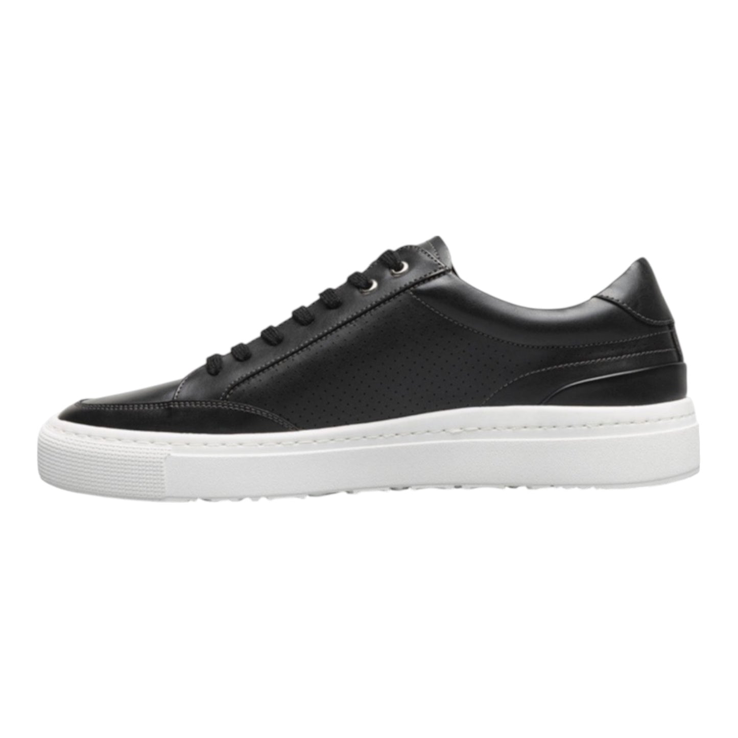 STACY ADAMS: Dorian Lace Up 25749