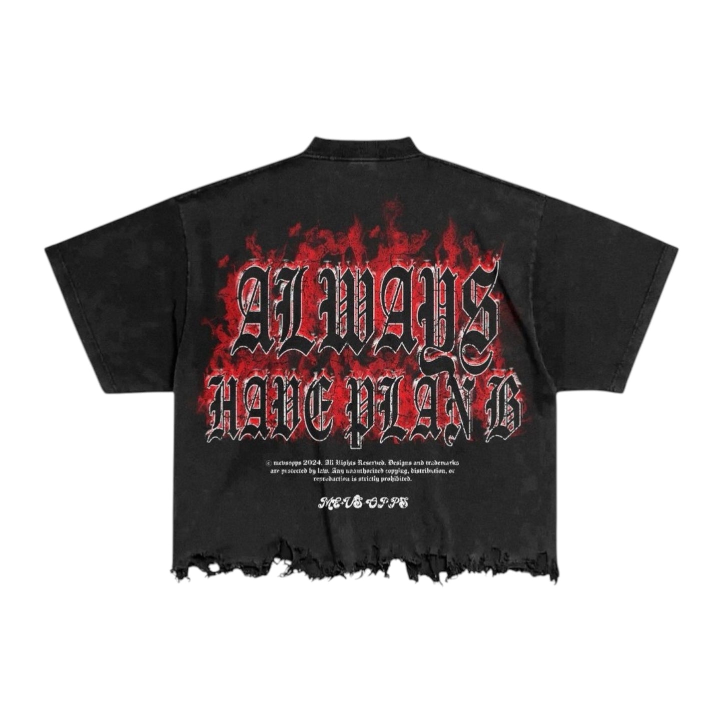 FERRARI MASSARI: Always Have Plan B Crop