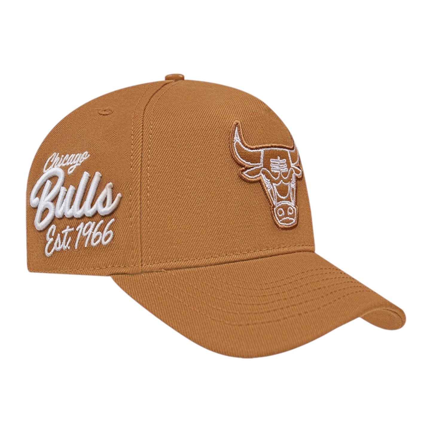 PRO STANDARD: Bulls Paint The City Snapback BCB7515738