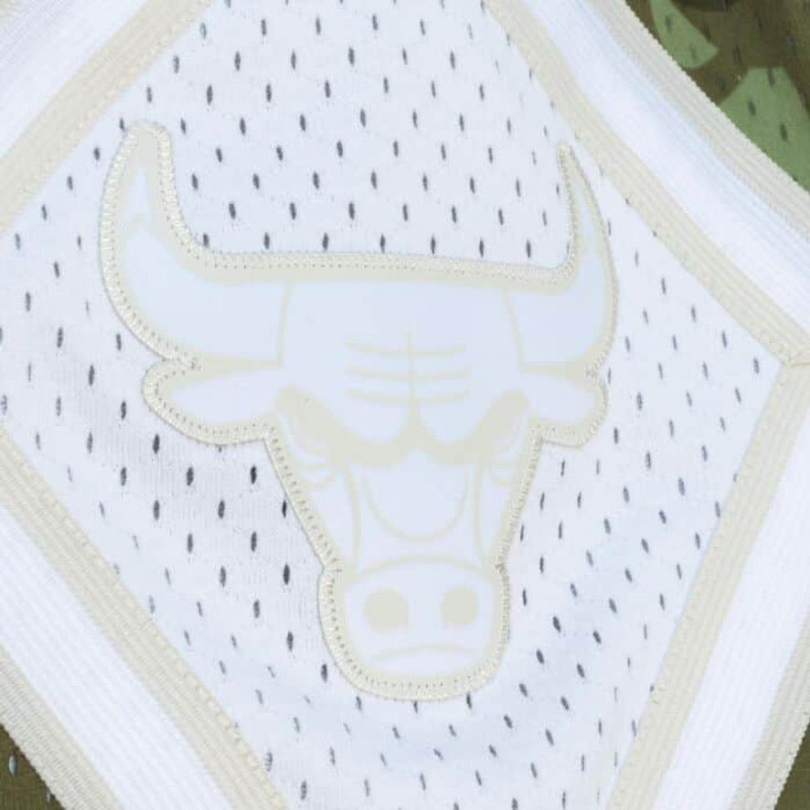 Mitchell & Ness: Bulls Ghost Camo Shorts