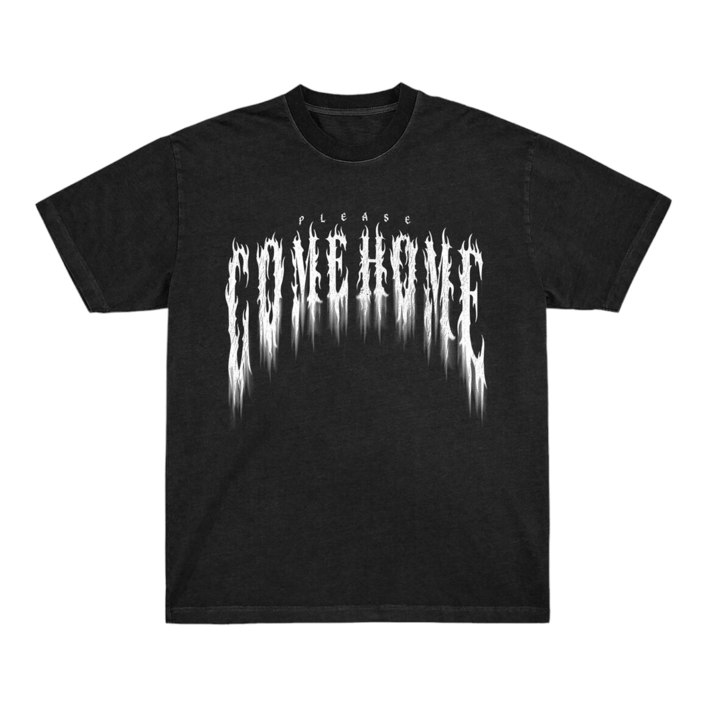 PLEASE COME HOME: Heavy Metal Flames SS Tee