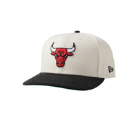 NEW ERA: Bulls Rear Hit A Frame 60937043