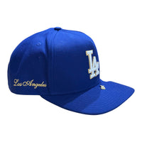 NEW ERA: Dodgers F2 Injection Snap Back 60968400