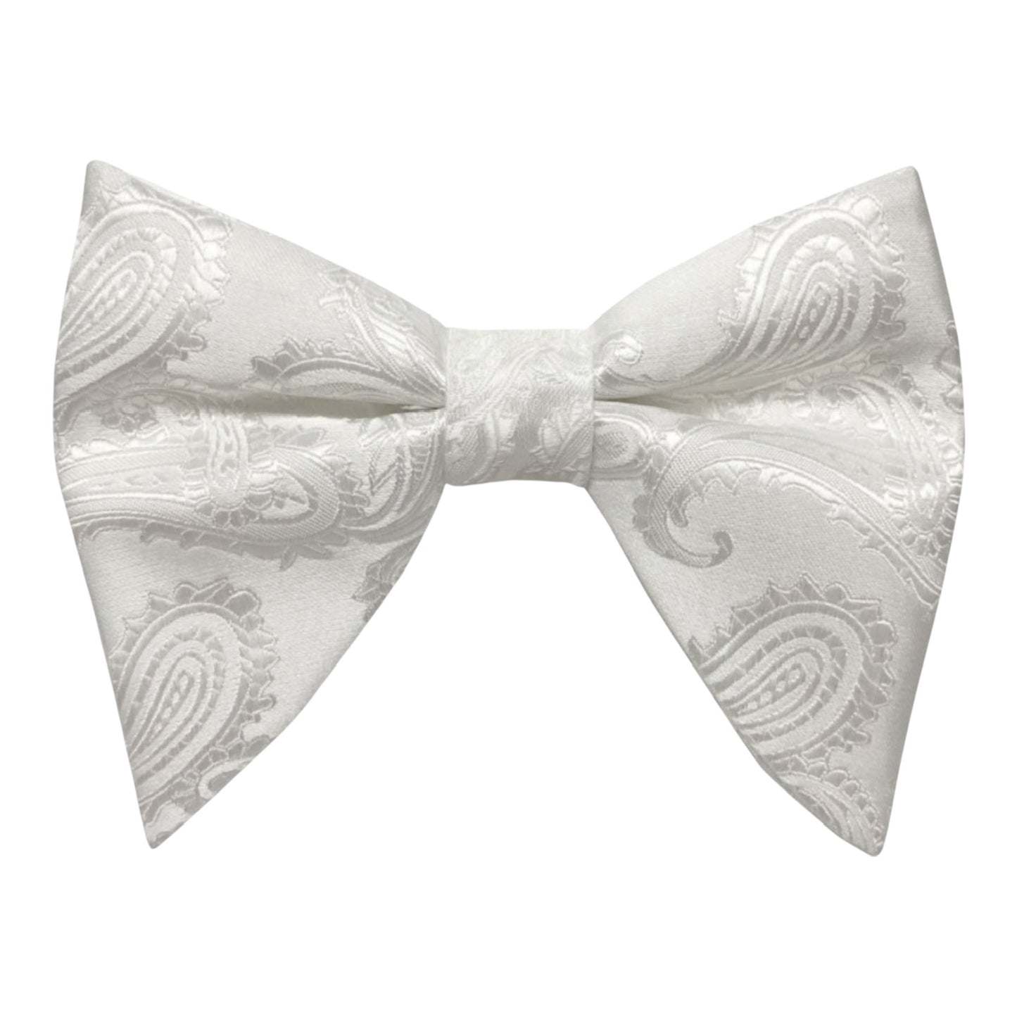 BRAND Q: Long Paisley Bow Tie w/ Hanky LBT600