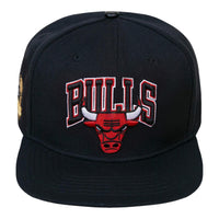 PRO STANDARD: Bulls Retro Classic Logo Snapback BCB756007