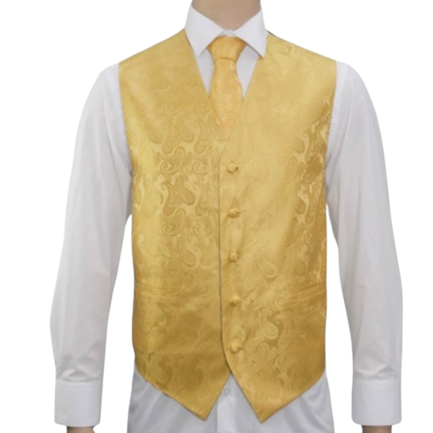 BRAND Q:  Paisley Satin Vest 20