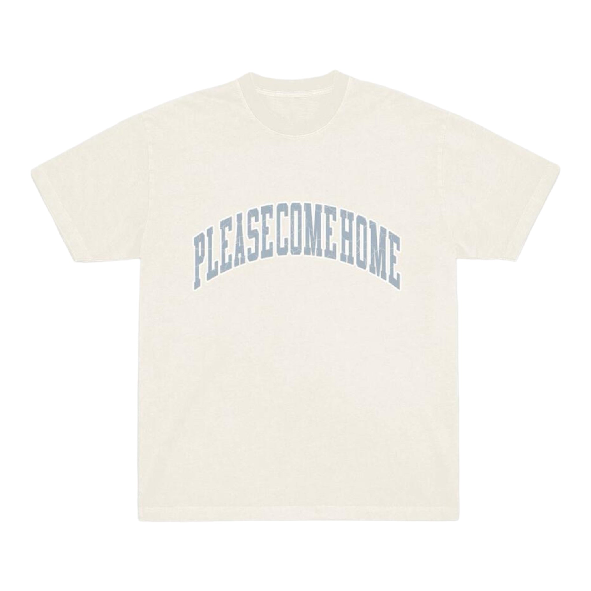 PLEASE COME HOME: Arch Cracks SS Tee 0631