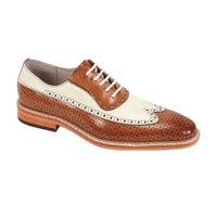 GIOVANNI: Rio Wing Tip Lace Up