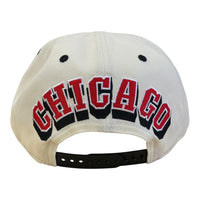 NEW ERA: Bulls Rear Hit A Frame 60937043