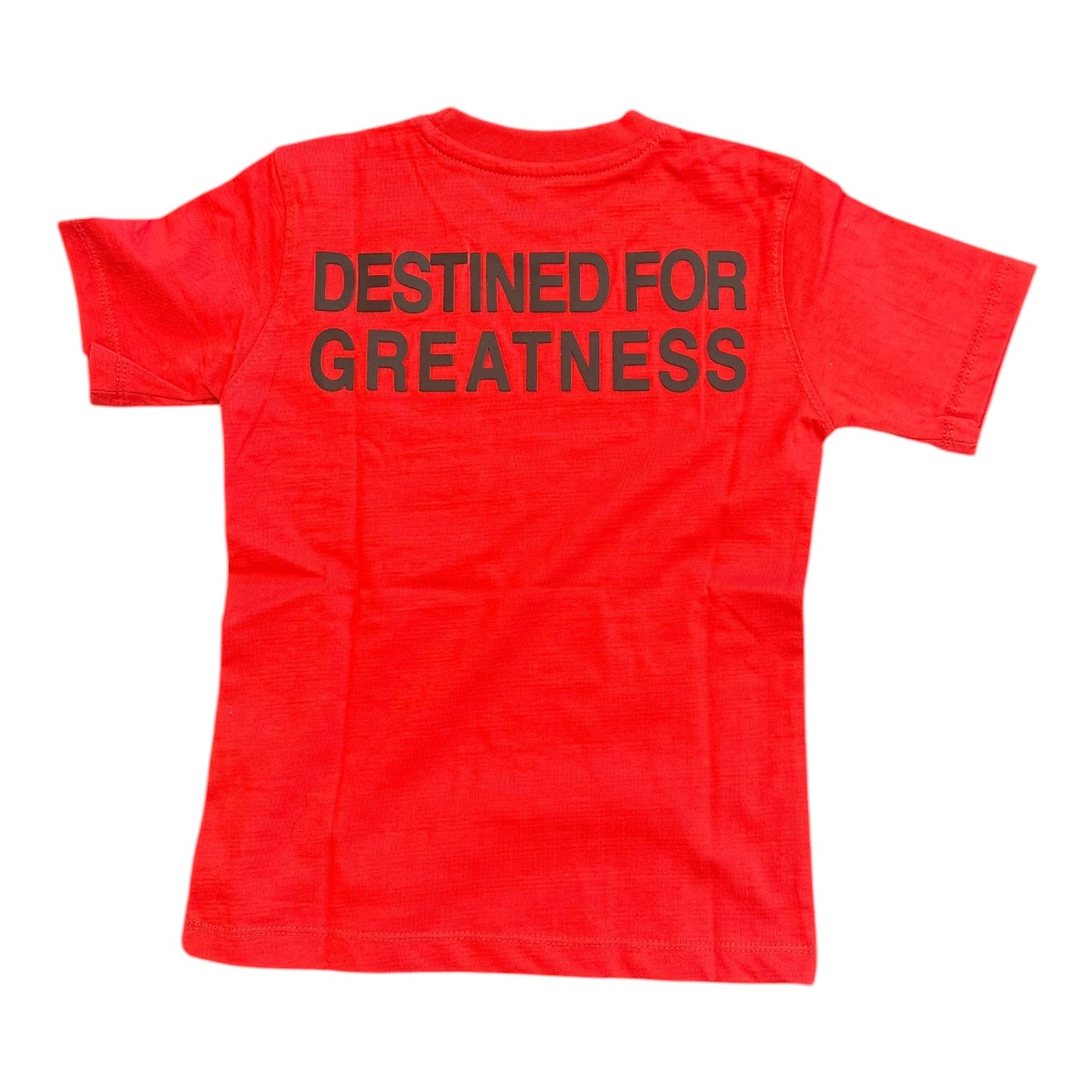 JORDAN CRAIG: BOYS Destined For Greatness Set 2078