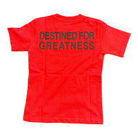 JORDAN CRAIG: BOYS Destined For Greatness Set 2078