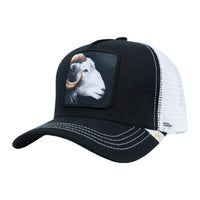 GOLD STAR HATS: Goat Trucker Hat GS274