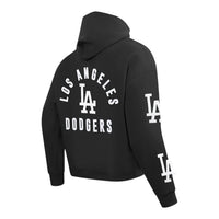 PRO STANDARD: Dodgers Zip Hoodie LLD5316197