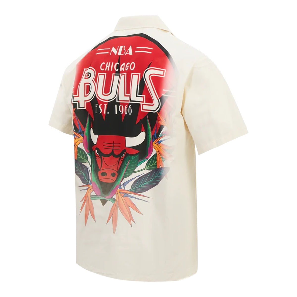 PRO STANDARD: Bulls Paradise Short Set