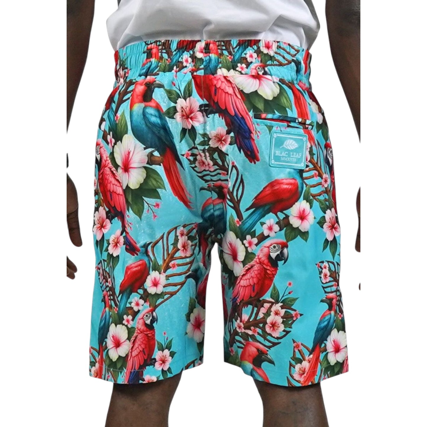 BLAC LEAF: Tropical Arrangement Shorts 015