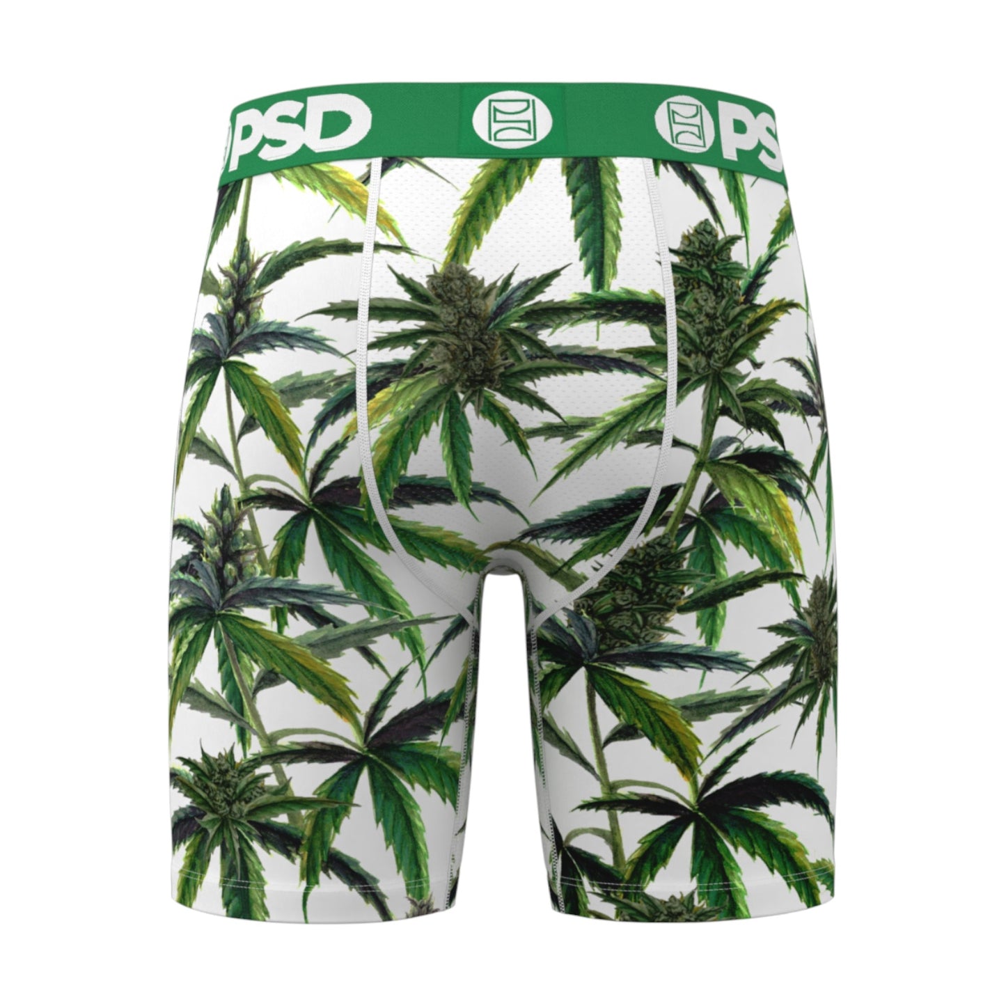 PSD: Buds & Bloom 425180091