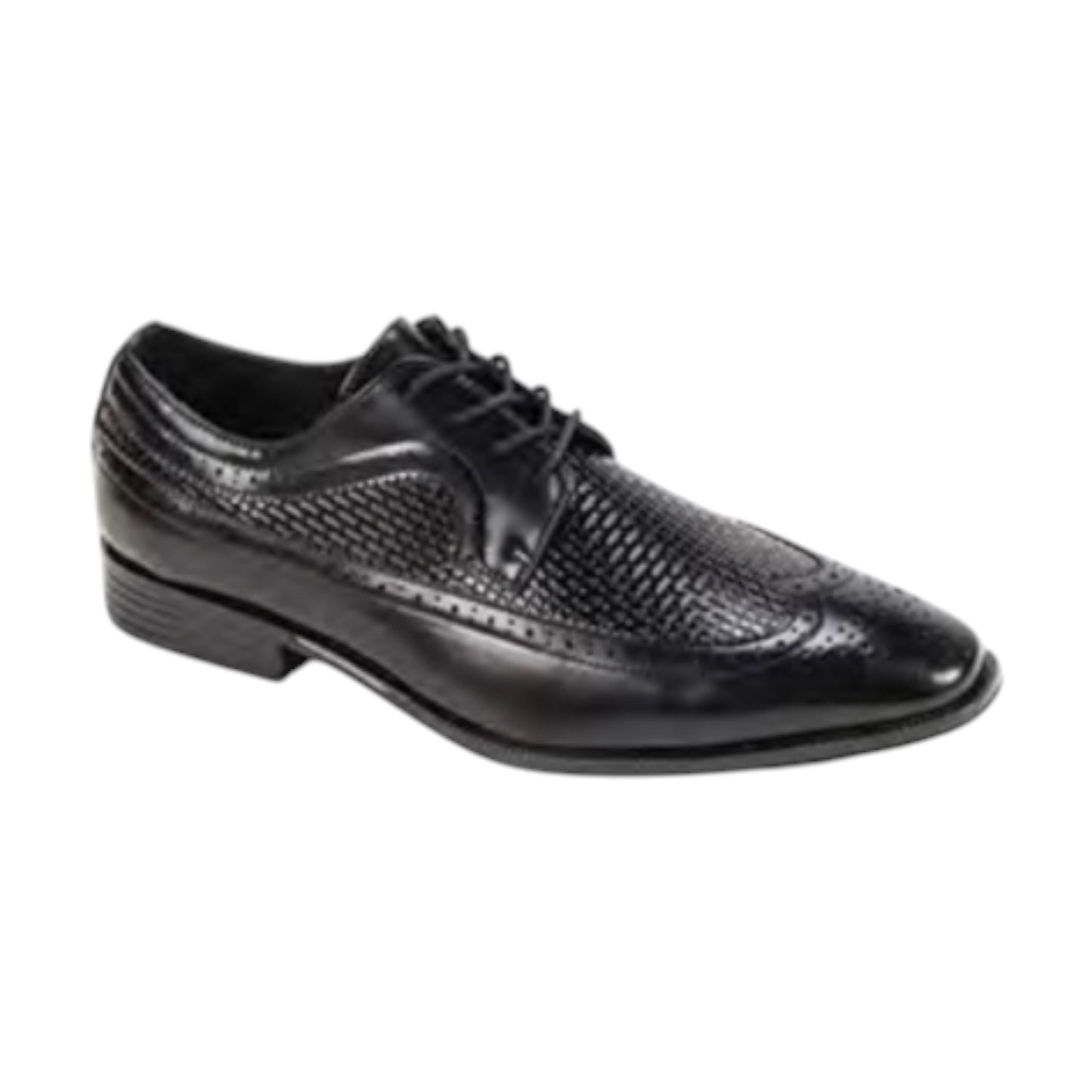 ANTONIO CERRELLI: Wingtip Lace Up 7068