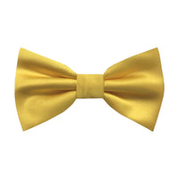 BRAND Q: BOYS Solid Bow w/ Hanky KBT100