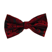 BRAND Q: Paisley Bow Tie BT600