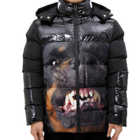 ROKU STUDIO: Rottweiler Bubble Jacket RK6480493