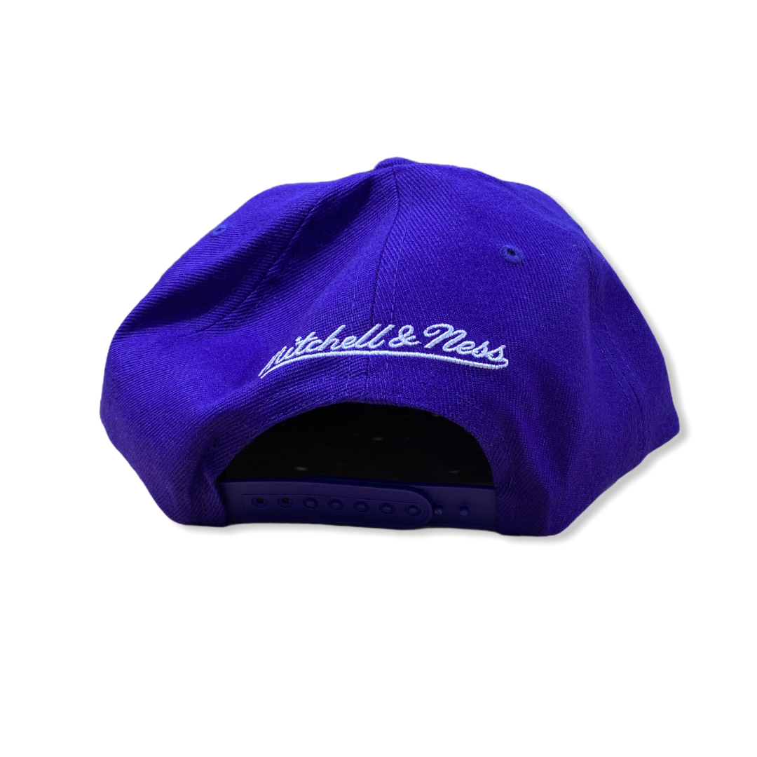 toronto raptors purple hat